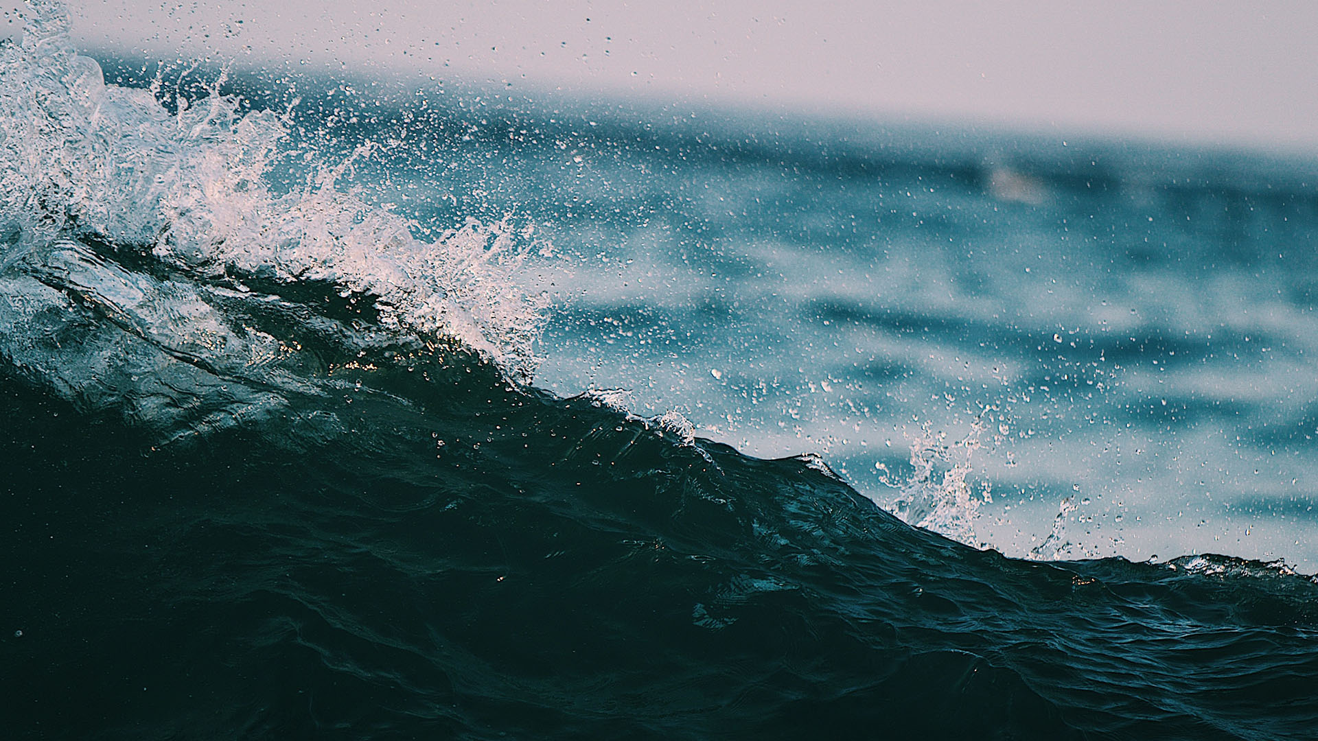 ahmed-saeed-EQcZQzew9e0-unsplash Cursos