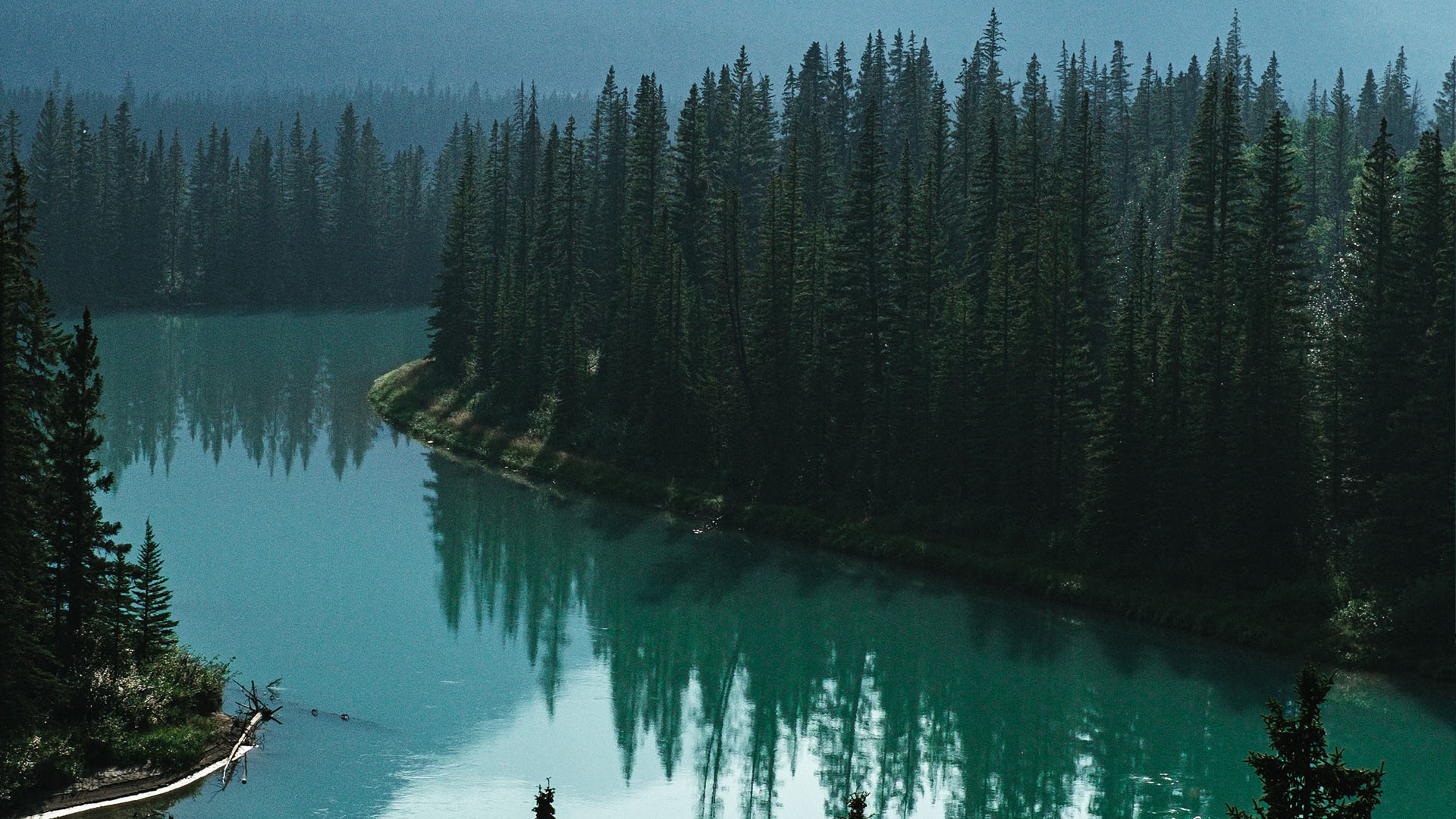 ampersand-creative-co-pp_oXEb2H48-unsplash Cursos