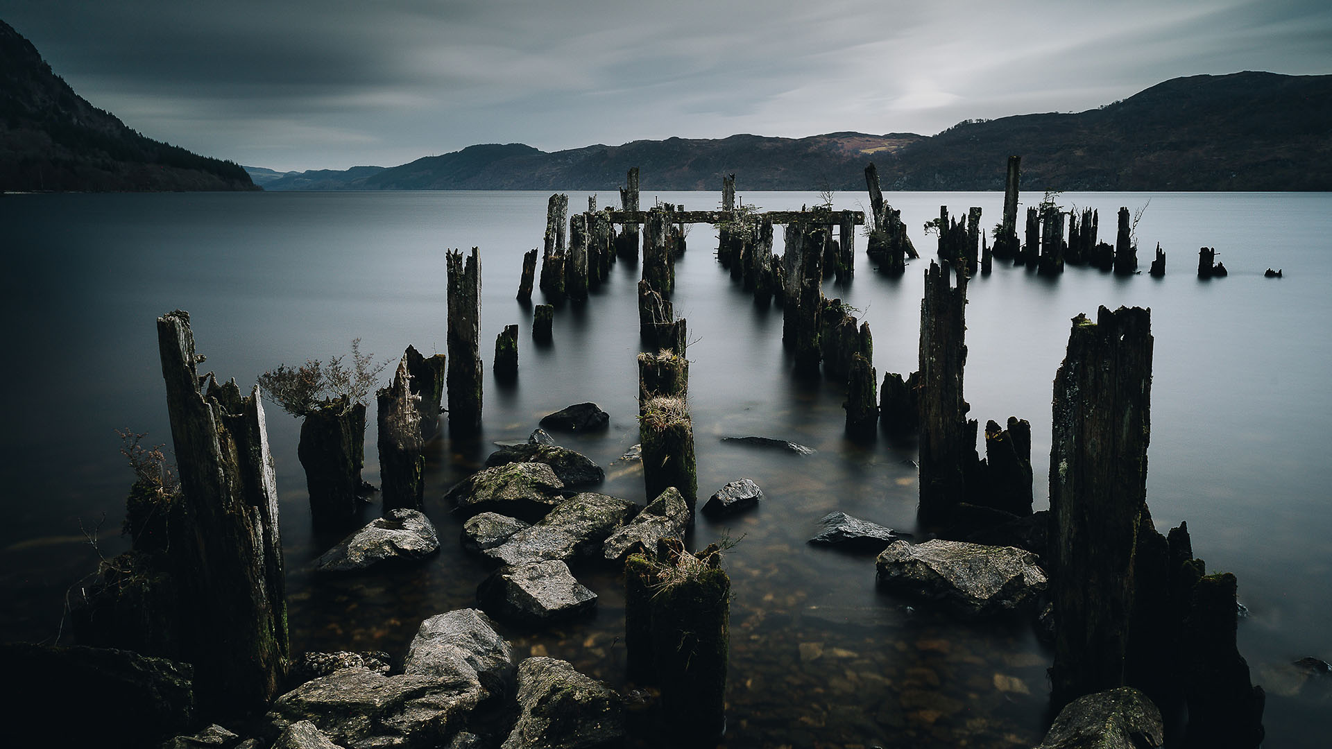 daniel-svoboda-Oru9FY1X7eg-unsplash Cursos