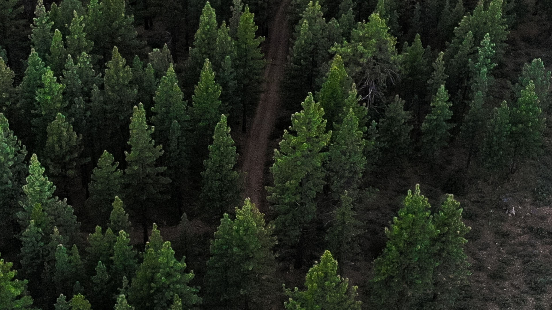 ethan-dow-6EljUULo4FQ-unsplash Cursos